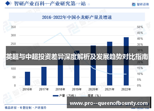 英超与中超投资差异深度解析及发展趋势对比指南 英超与中超投资差异深度解析及发展趋势对比指南
