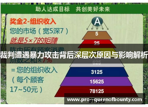 裁判遭遇暴力攻击背后深层次原因与影响解析