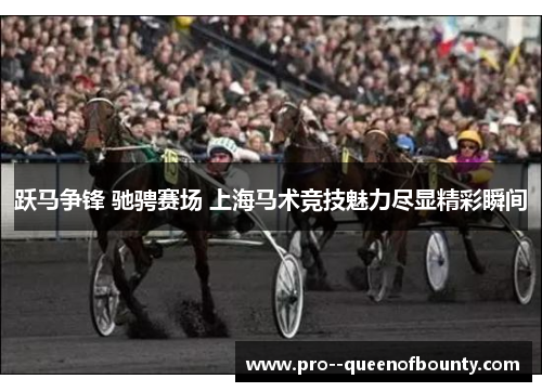 跃马争锋 驰骋赛场 上海马术竞技魅力尽显精彩瞬间