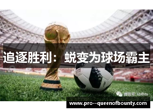 追逐胜利：蜕变为球场霸主